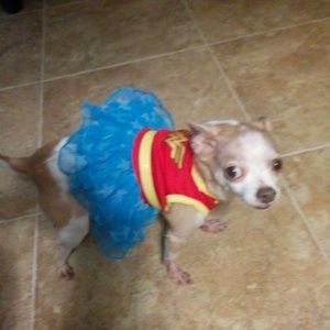 Meet your Posher, Marianne